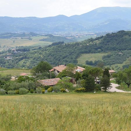 Agriturismo Terra Selvatica Valfabbrica Zewnętrze zdjęcie