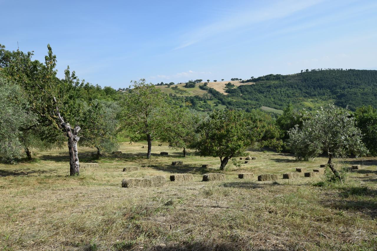 Agriturismo Terra Selvatica Valfabbrica Zewnętrze zdjęcie